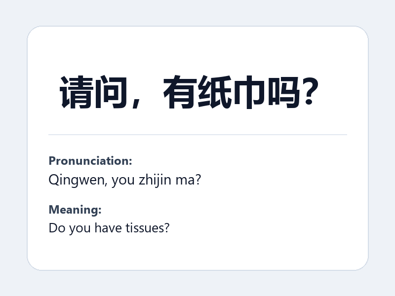 Phrase card: 请问，有纸巾吗？ (Qingwen, you zhijin ma?) - Do you have tissues?