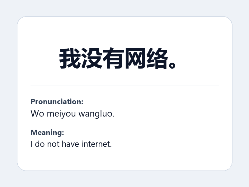 Phrase card: 我没有网络。 (Wo meiyou wangluo.) - I do not have internet.