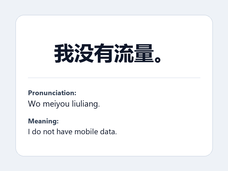 Phrase card: 我没有流量。 (Wo meiyou liuliang.) - I do not have mobile data.