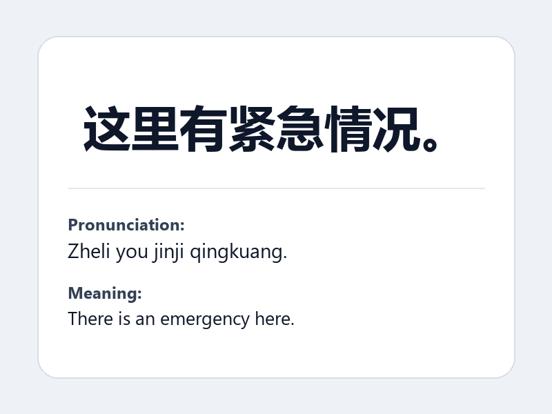 Phrase card: 这里有紧急情况。 (Zheli you jinji qingkuang.) - There is an emergency here.